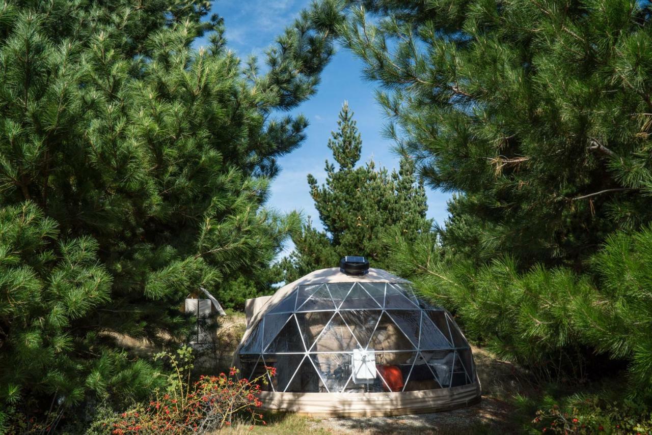 Hotel Mt Gold Glamping Wanaka Zewnętrze zdjęcie